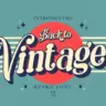 Back to Vintage WhatsApp group invite link