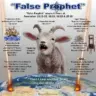 Book of Revelation END Time Messege 1 WhatsApp group invite link